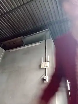 Dina wet online show from December 5, 12:08 am