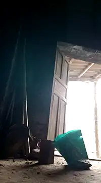 Dina wet online show from December 8, 8:20 am