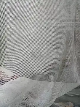 Dina wet online show from December 31, 3:23 am