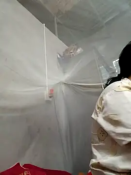 Dina wet online show from January 3, 11:35 am