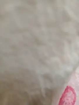 Dina wet online show from January 21, 2:43 am