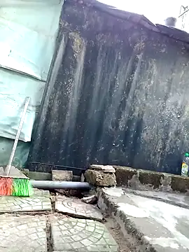 Dina wet online show from January 24, 2:07 am