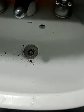 Chancho141414 online show from November 15, 4:47 pm