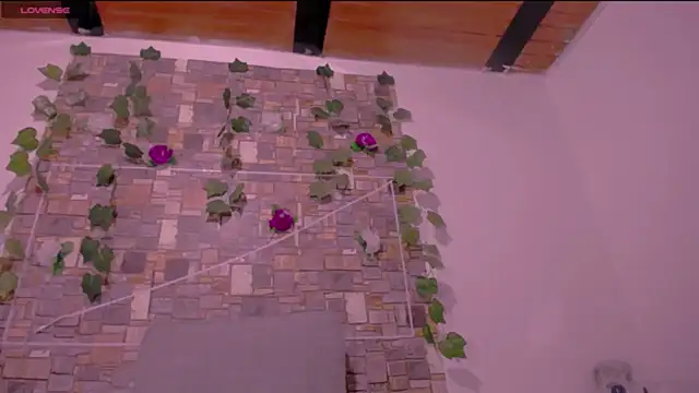 CrazyRousex online show from March 4, 2:45 pm