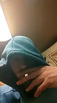 Snapshot of Rejtelmesest chatting on January 20, 3:15 am Rejtelmesest online show from January 20, 3:15 am