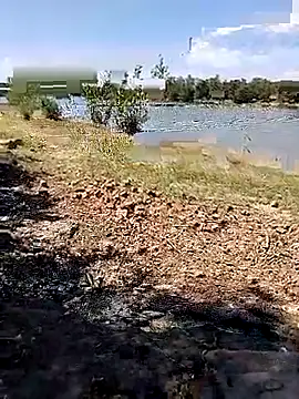 BaseDick online show from September 24, 10:07 am