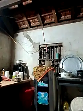 Hotpussy3ox online show from March 2, 10:16 pm