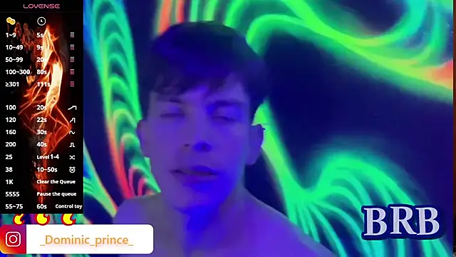 DominicPrince online show from November 15, 3:26 am