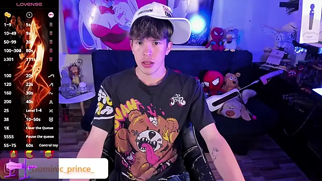 DominicPrince online show from November 28, 10:34 pm