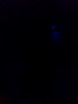 Snapshot of dotado20robson chatting on February 16, 4:41 am dotado20robson online show from February 16, 4:41 am