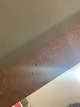 Snapshot of smithrosinha chatting on September 19, 5:24 pm smithrosinha online show from September 19, 5:24 pm