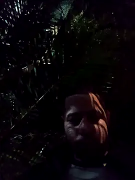 mis312 online show from April 19, 4:12 am