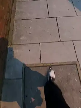 XMenX24 online show from March 22, 6:36 pm