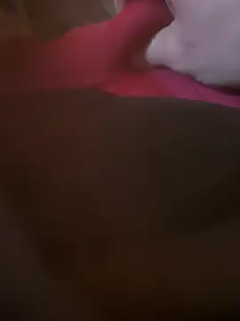 Snapshot of Fjome chatting on November 15, 8:00 am Fjome online show from November 15, 8:00 am