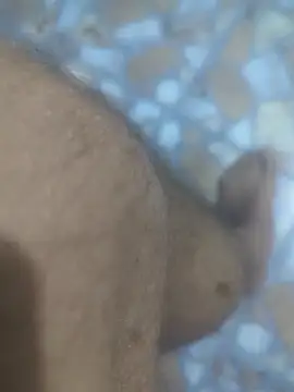 Snapshot of Sunnyboy7897 chatting on March 9, 10:47 pm Sunnyboy7897 online show from March 9, 10:47 pm