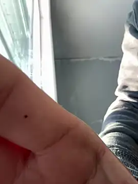 Snapshot of SmokingSloth chatting on January 6, 9:22 pm SmokingSloth online show from January 6, 9:22 pm