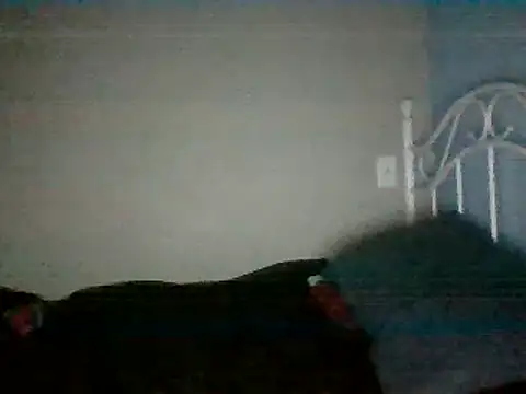 Snapshot of SmokingSloth chatting on March 16, 5:14 am SmokingSloth online show from March 16, 5:14 am