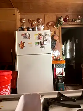 Snapshot of SmokingSloth chatting on December 21, 9:11 pm SmokingSloth online show from December 21, 9:11 pm