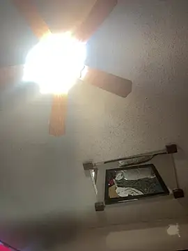 Snapshot of SmokingSloth chatting on February 6, 2:31 pm SmokingSloth online show from February 6, 2:31 pm