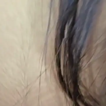 Snapshot of Liyana_Babe chatting on November 25, 4:12 am Liyana Babe online show from November 25, 4:12 am