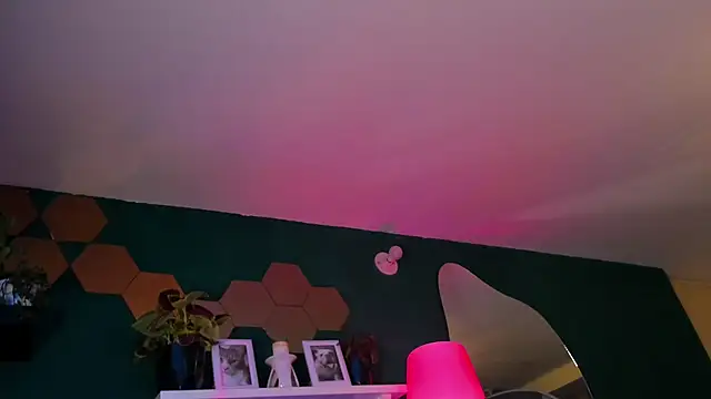 evy orange1 online show from April 16, 1:06 am