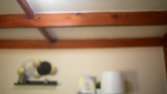 Bellis Perenis online show from February 18, 9:05 am