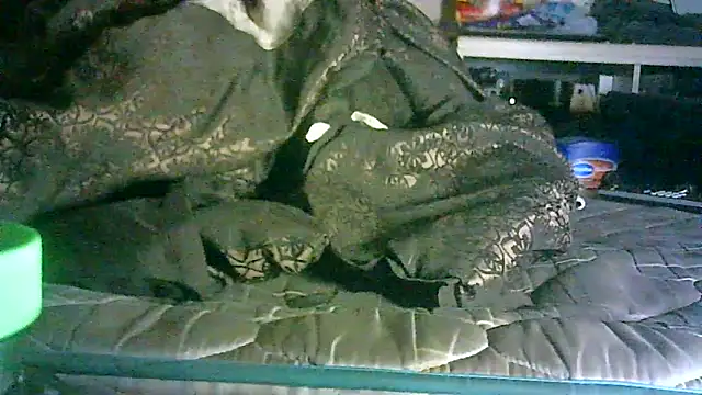 Snapshot of DI4MOND_FIR3 chatting on June 11, 2:53 am DI4MOND FIR3 online show from June 11, 2:53 am