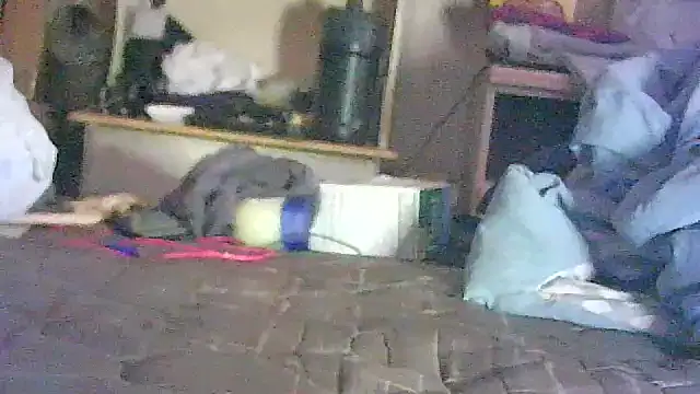 Snapshot of DI4MOND_FIR3 chatting on July 1, 5:56 pm DI4MOND FIR3 online show from July 1, 5:56 pm