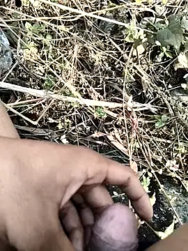 royalrohan3245 online show from November 20, 4:56 am