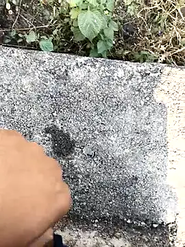 royalrohan3245 online show from November 21, 4:00 am