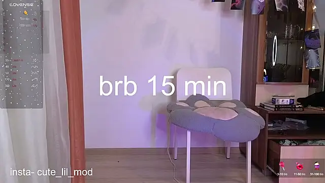 art phoenix online show from March 11, 10:20 pm