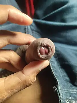 iaparna online show from November 17, 7:58 am