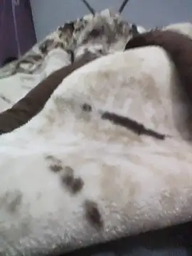 iaparna online show from December 16, 4:23 pm