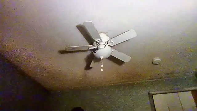 VanceFontaine online show from April 20, 5:05 pm