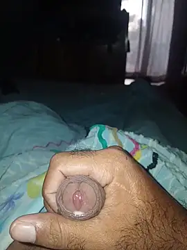 taylorWiiz online show from March 3, 12:55 pm