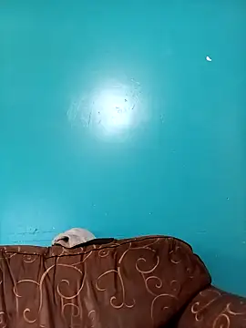 Snapshot of TUMORENO1 chatting on September 8, 8:41 pm TUMORENO1 online show from September 8, 8:41 pm