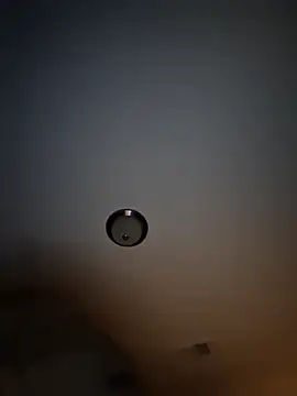 bigboytoy912 online show from April 23, 4:35 am