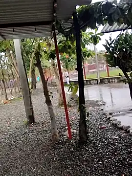 BeetledFlouter12 online show from September 26, 7:07 pm