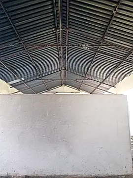 Snapshot of bull_Giant chatting on December 24, 2:44 pm bull Giant online show from December 24, 2:44 pm