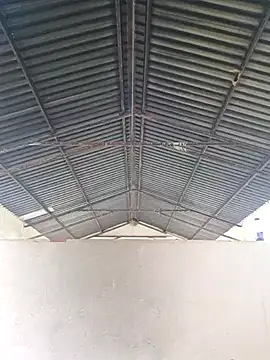 Snapshot of bull_Giant chatting on February 20, 11:42 am bull Giant online show from February 20, 11:42 am