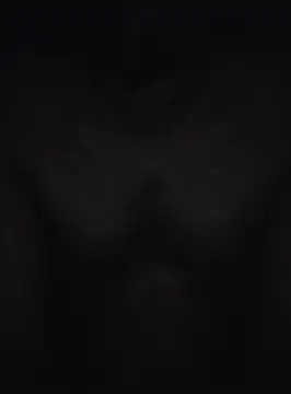 Keshuloveyou online show from December 20, 7:44 am