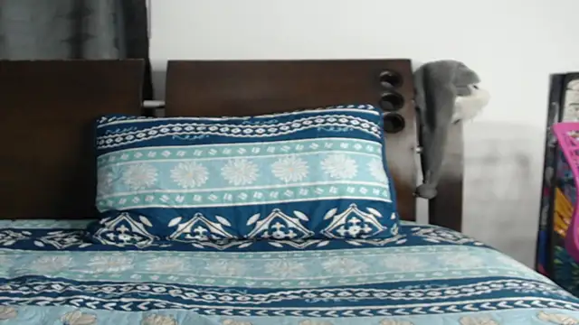 Tobicutee online show from February 5, 4:17 am