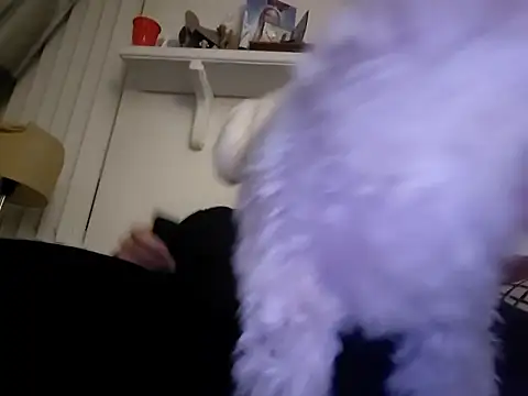 Snapshot of Hand69someguy chatting on January 10, 6:37 am Hand69someguy online show from January 10, 6:37 am