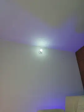 mich bittersweet online show from April 11, 11:31 pm