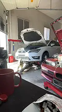 Snapshot of donnuozfutura chatting on February 13, 2:20 pm donnuozfutura online show from February 13, 2:20 pm