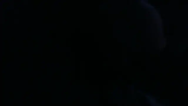 openallforyou online show from February 24, 10:24 am