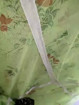 sids0 online show from December 9, 6:14 pm