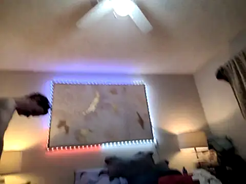 big8dall online show from March 6, 3:19 pm