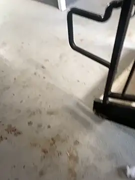 zeekBbc online show from February 26, 9:25 pm