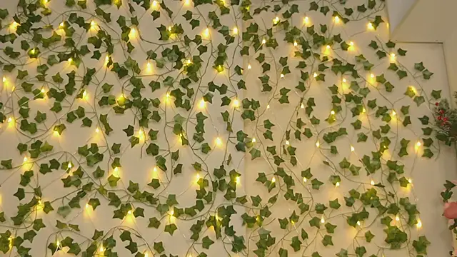 Brenda M00n online show from January 5, 9:25 pm